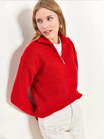 Bianco Lucci - Pullover 'Pullover' em vermelho