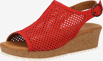 Paul Green Sandals in Red: front