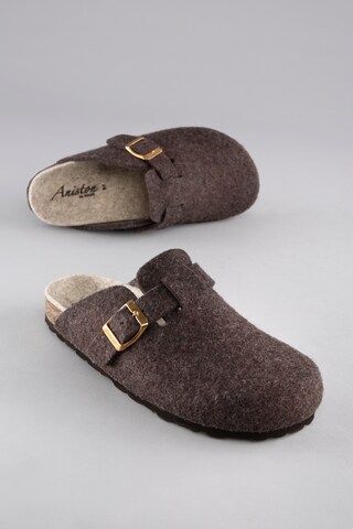 Bio Life Slippers in Brown