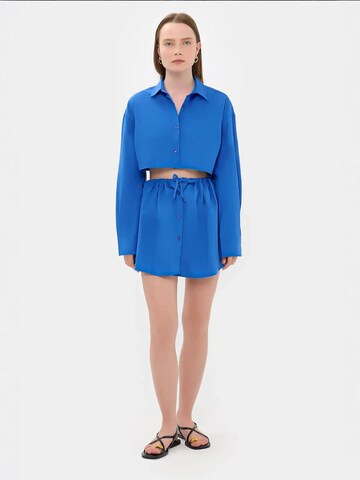 Hiccup Blouse in Blue