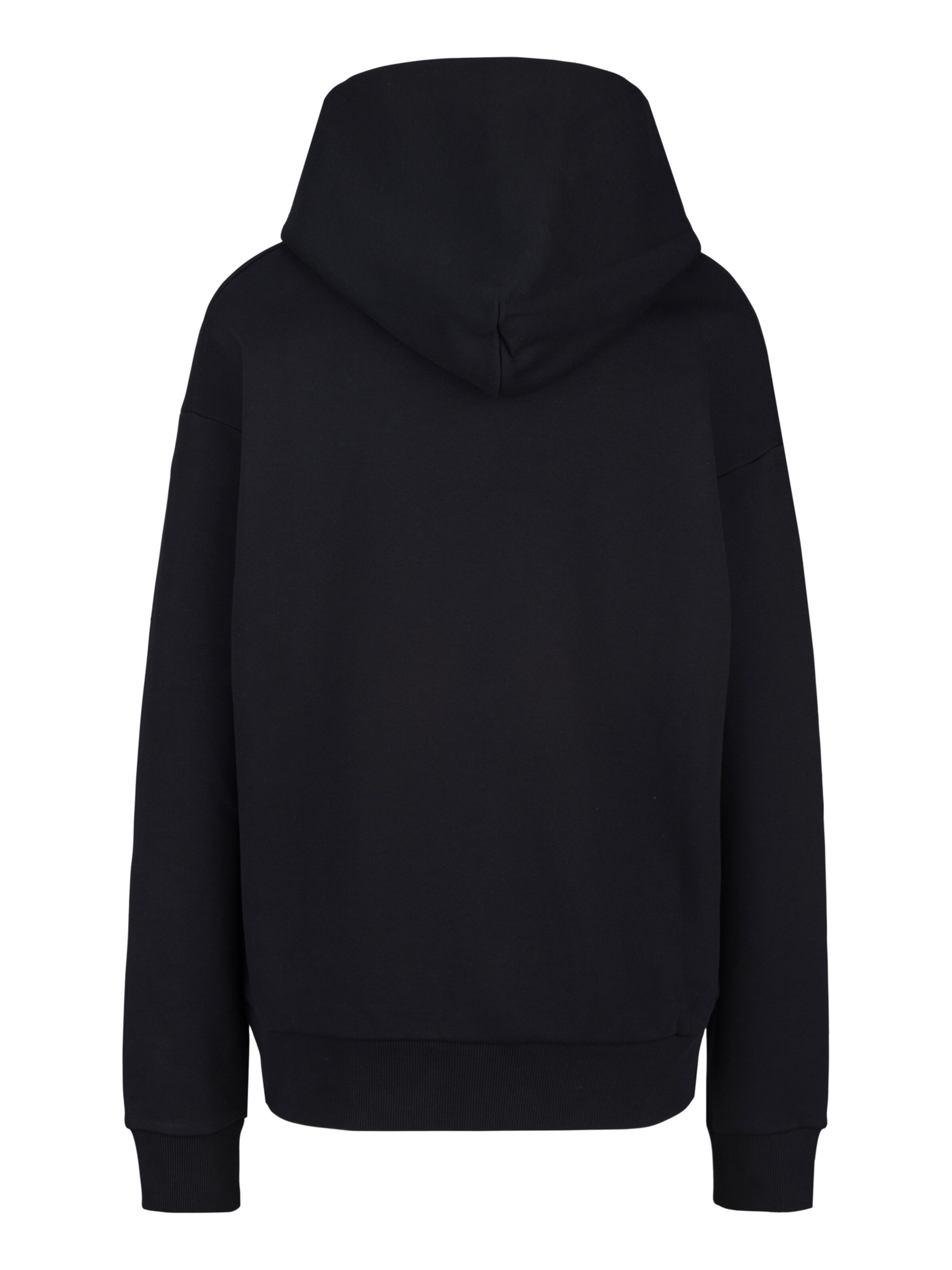 REPLAY Sweatshirt in Schwarz