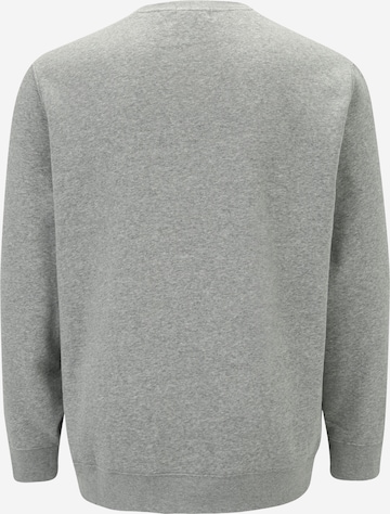Polo Ralph Lauren Свитшот в Серый