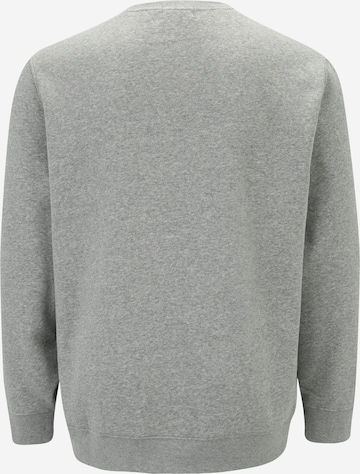 Polo Ralph Lauren - Sweatshirt em cinzento