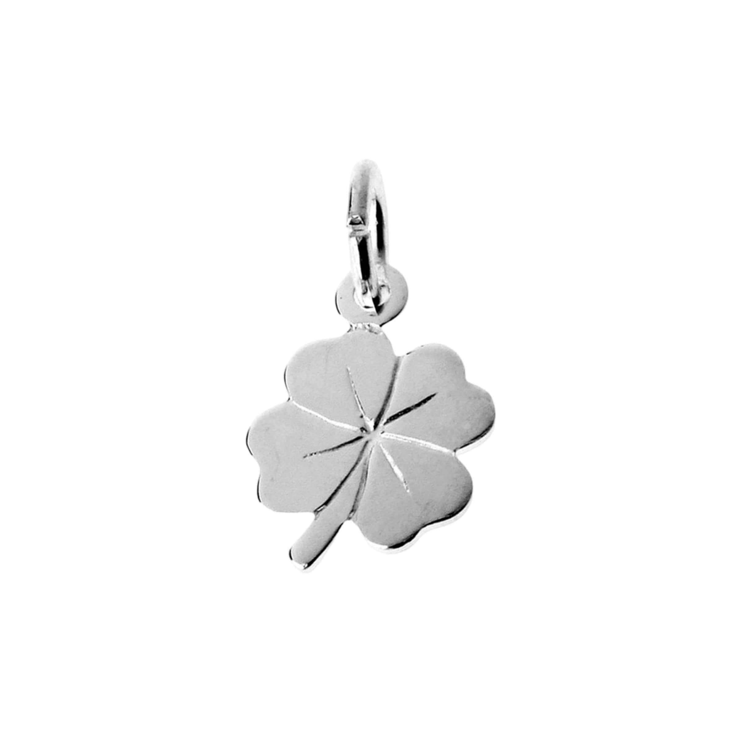 Lucardi Hangers in de kleur Zilver, Productweergave