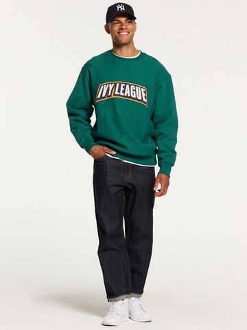 Shiwi Sweatshirt in Groen