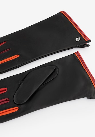 Roeckl Fingerhandschuhe in Schwarz