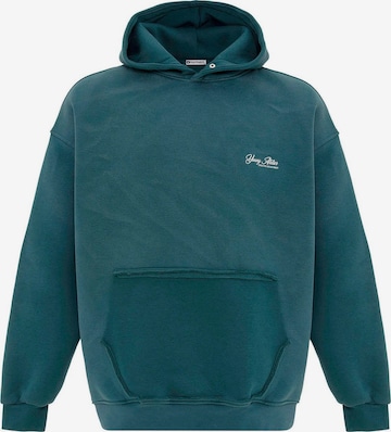 Sweat-shirt Dandalo en vert : devant