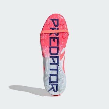 ADIDAS PERFORMANCE Voetbalschoen 'Predator Pro' in Oranje