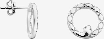 Sofia Milani Earrings 'Snake' in Silver: front