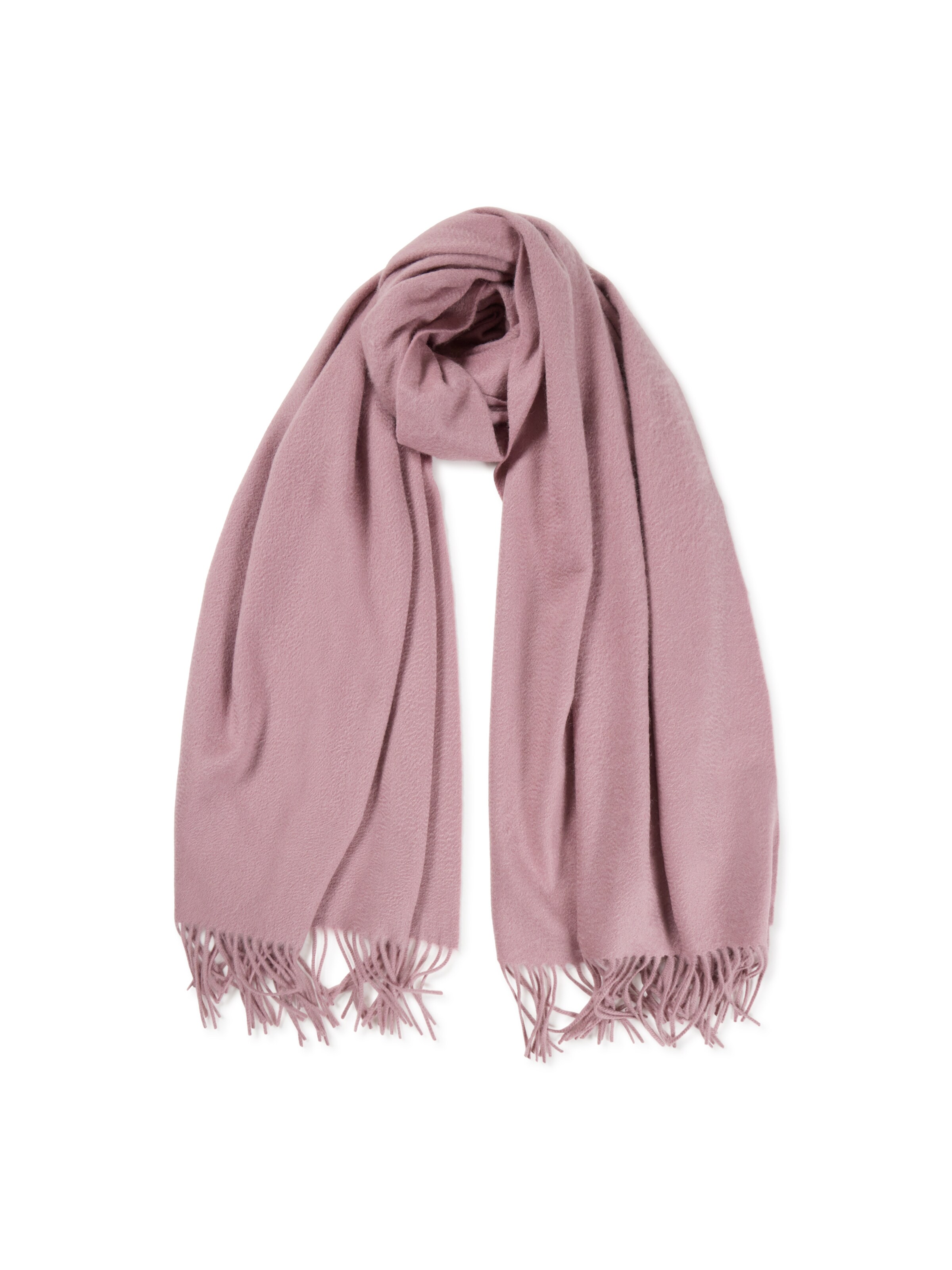 Sciarpa di CASH-MERE.CH in lilla: frontale