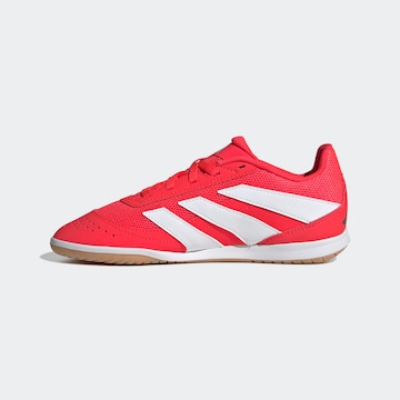 Chaussure de sport 'Predator' ADIDAS PERFORMANCE en rouge : devant