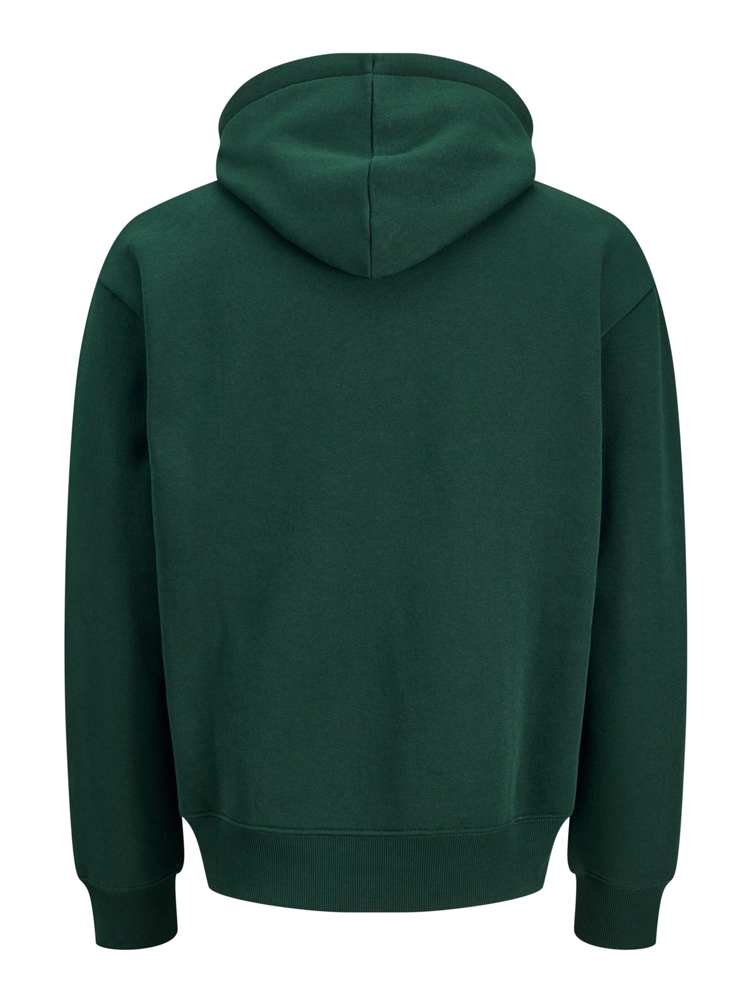 Jack & Jones Plus - Sweatshirt 'JJJAM' em verde
