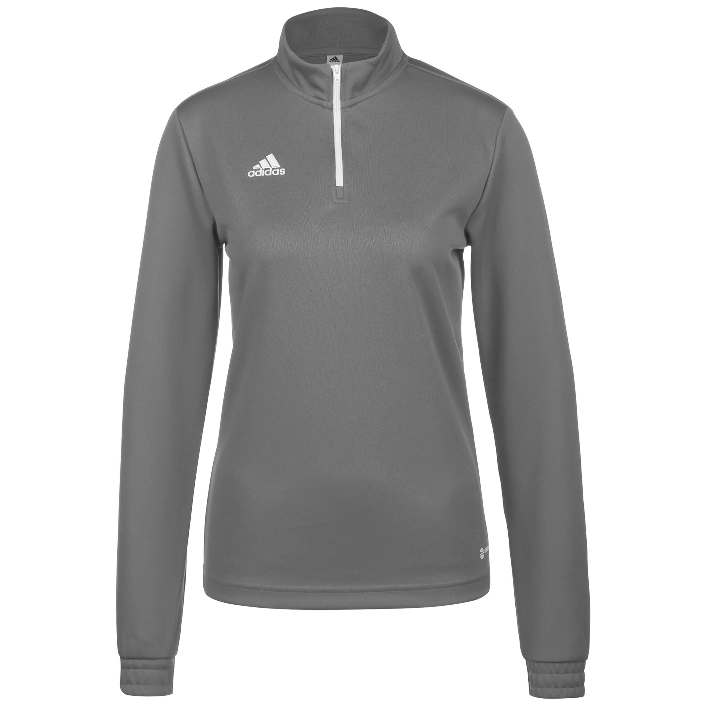 ADIDAS PERFORMANCE Sportsweatshirt &#x27;Entrada 22&#x27; i grå: forside