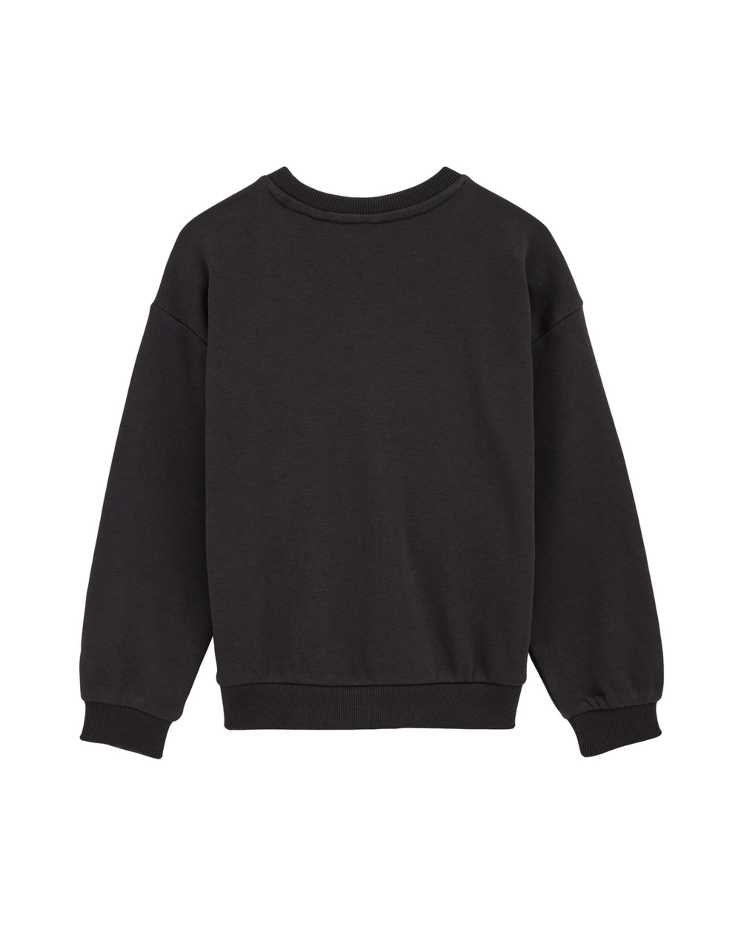 WE Fashion Sweatshirt in Grijs