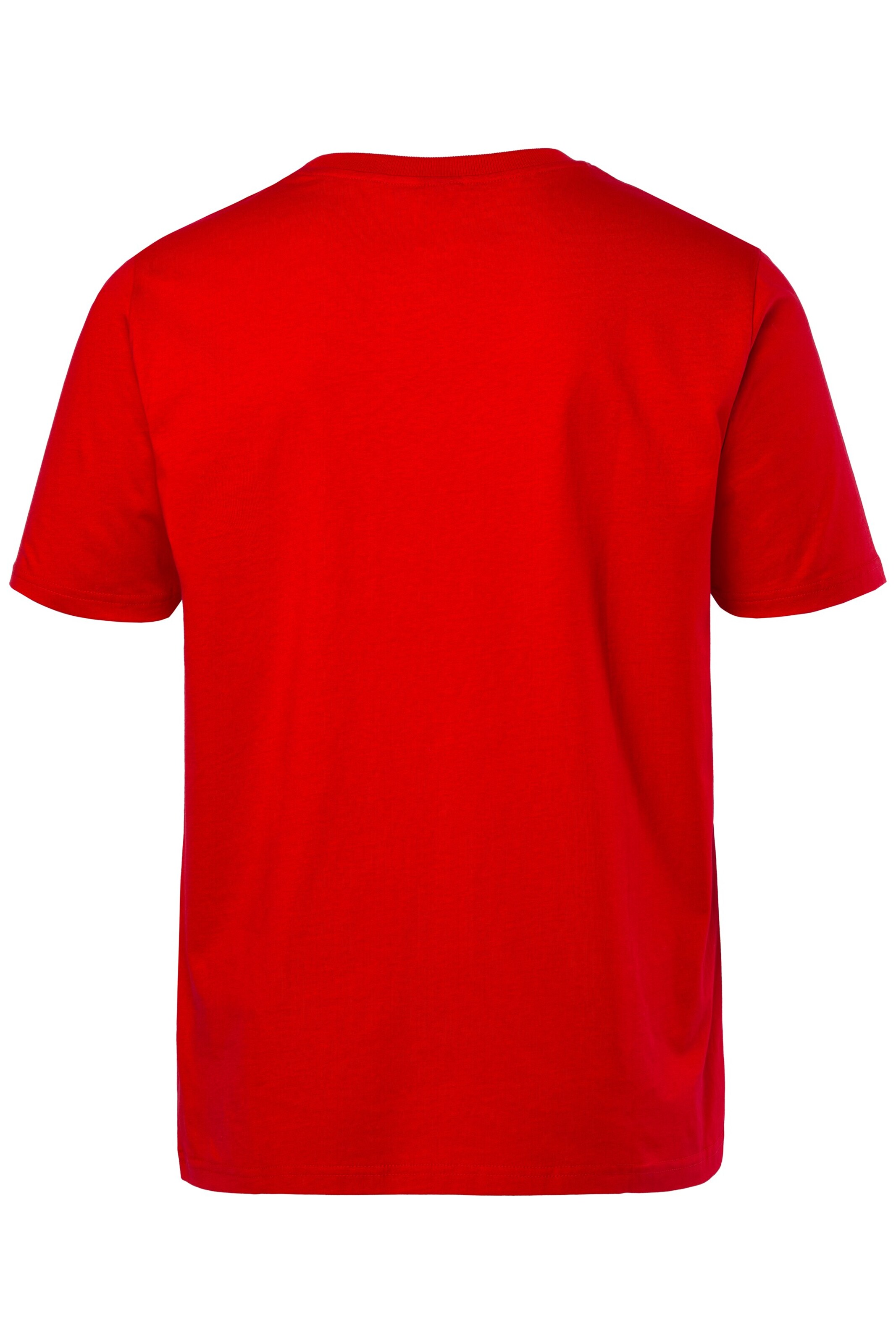 Men Plus T-Shirt in Rot