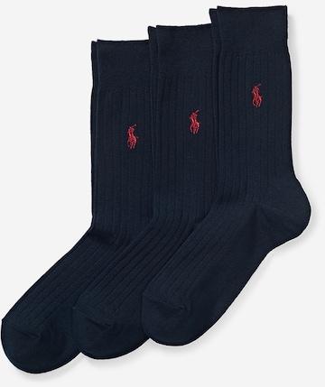 mėlyna Polo Ralph Lauren Kojinės 'EGYPT': priekis