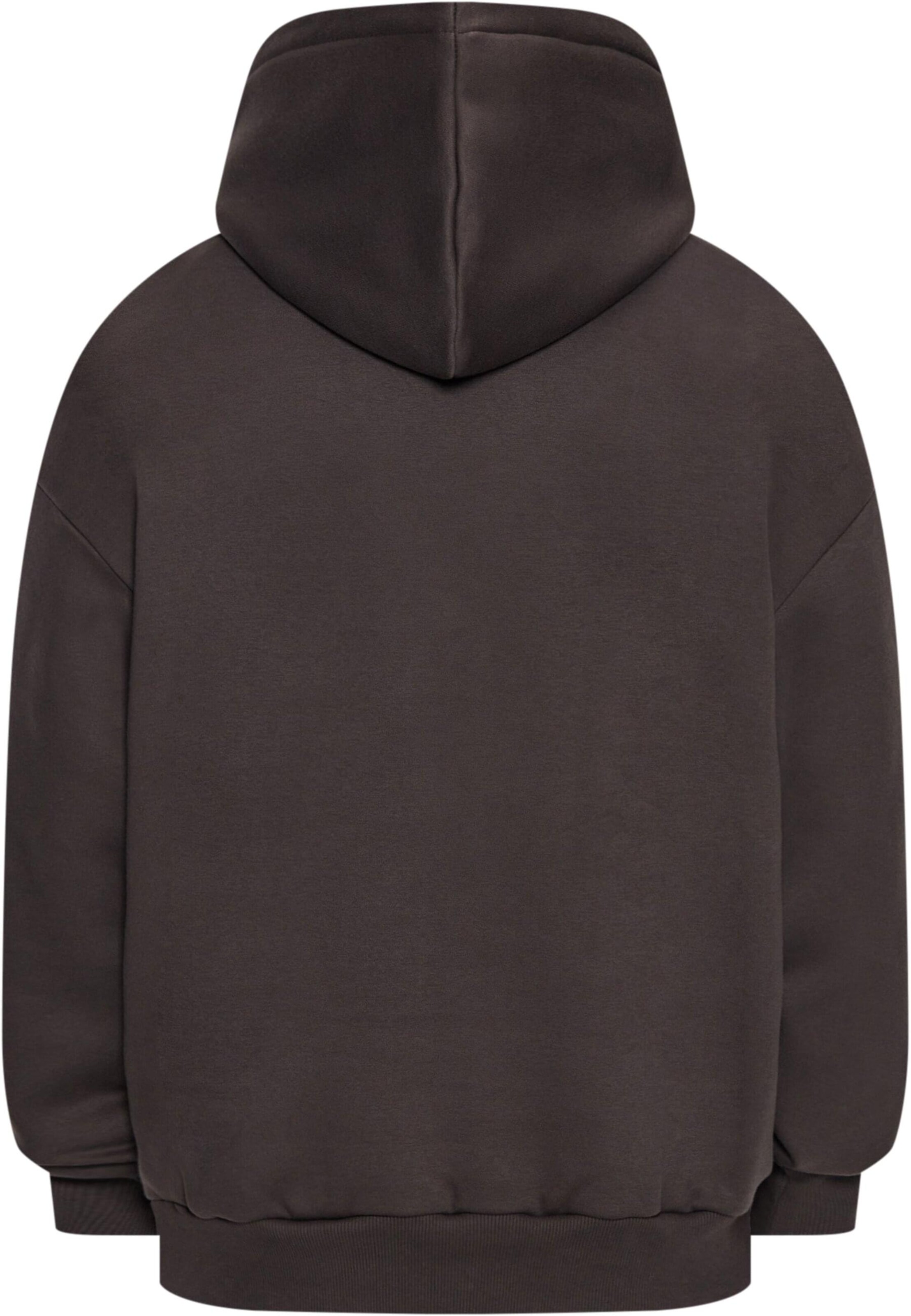 Dropsize Sweatshirt in Braun