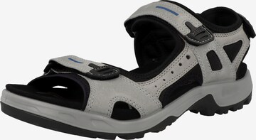 ECCO Hiking Sandals in Grey: front
