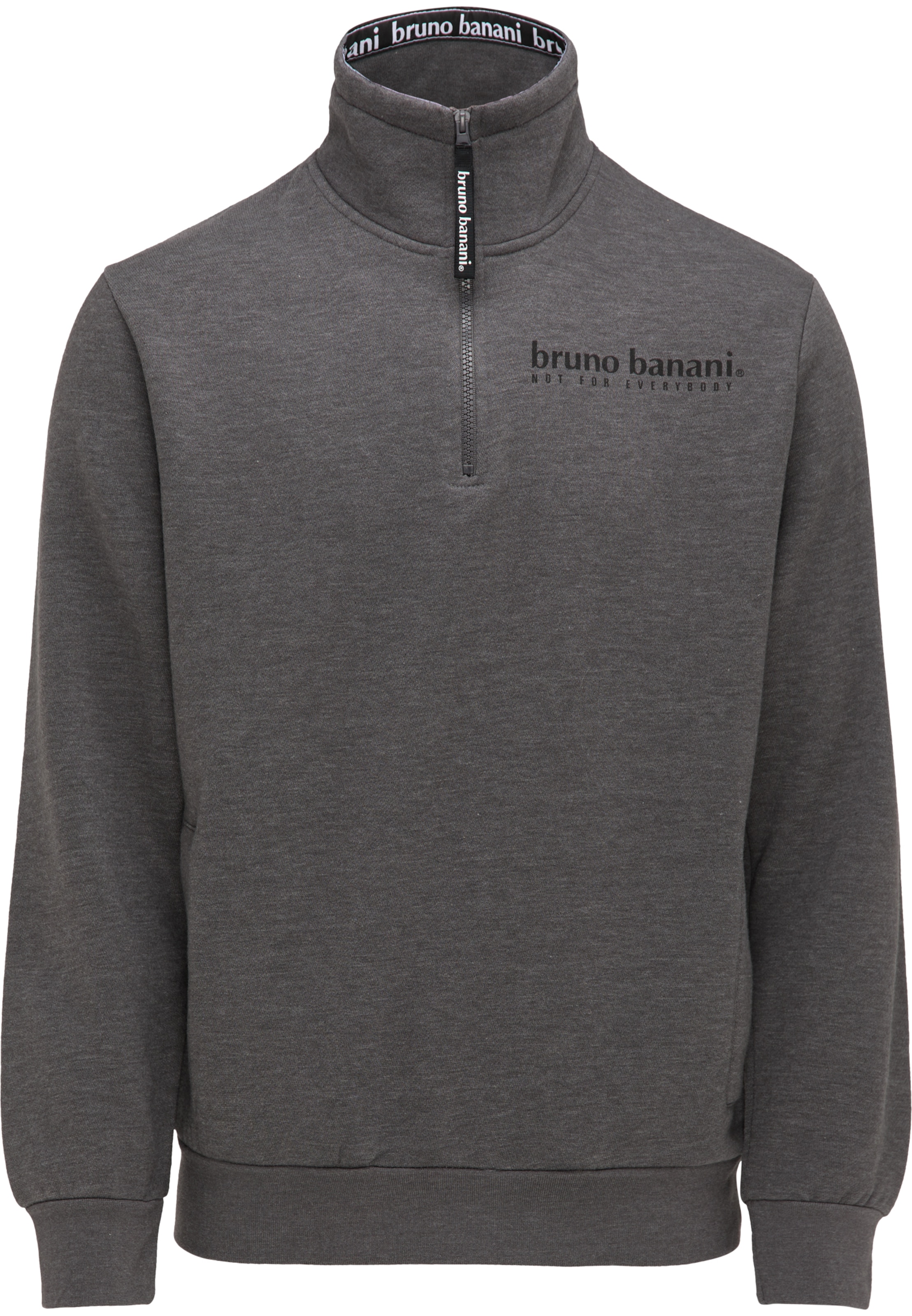 Bruno Banani Sweatshirt 'Palmer' in Grey: front