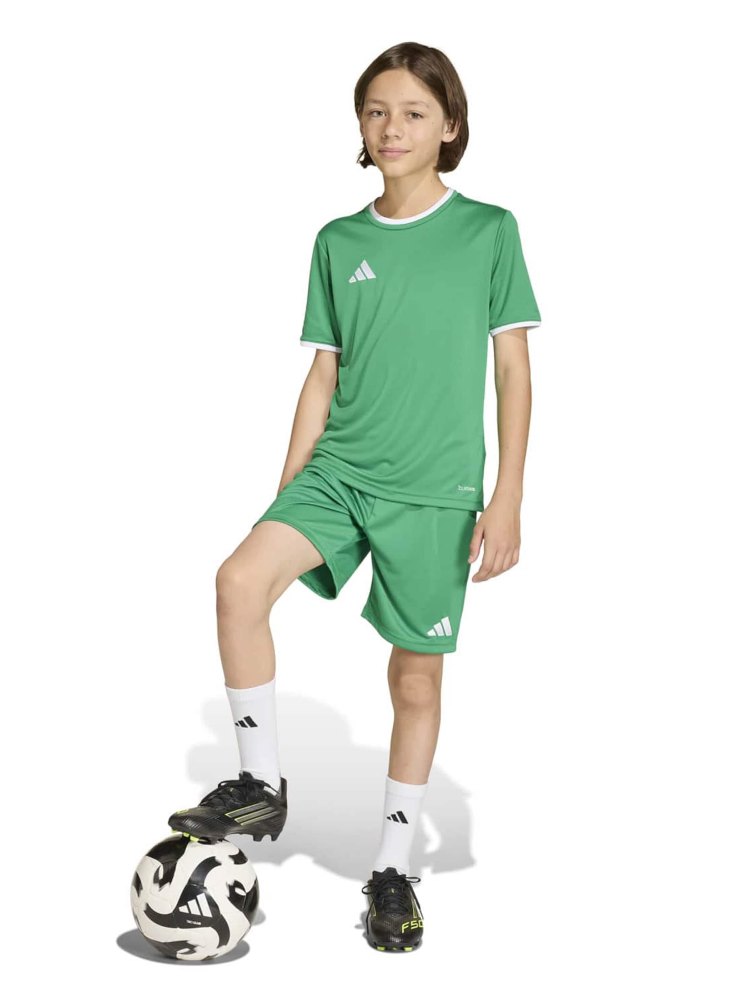 žalia ADIDAS PERFORMANCE Sportiniai marškinėliai 'ENT26'