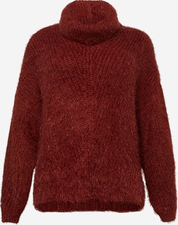 SHEEGO Sweater in Brown: front