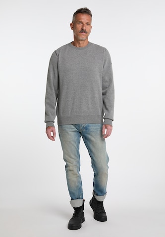 DreiMaster Vintage Sweatshirt i grå