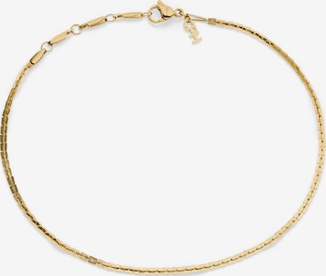 Copenhagen Studios Foot jewelry 'Edgy Fine' in Gold: front