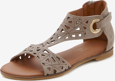 Sandalai iš LASCANA, spalva – rausvai pilka, Prekių apžvalga