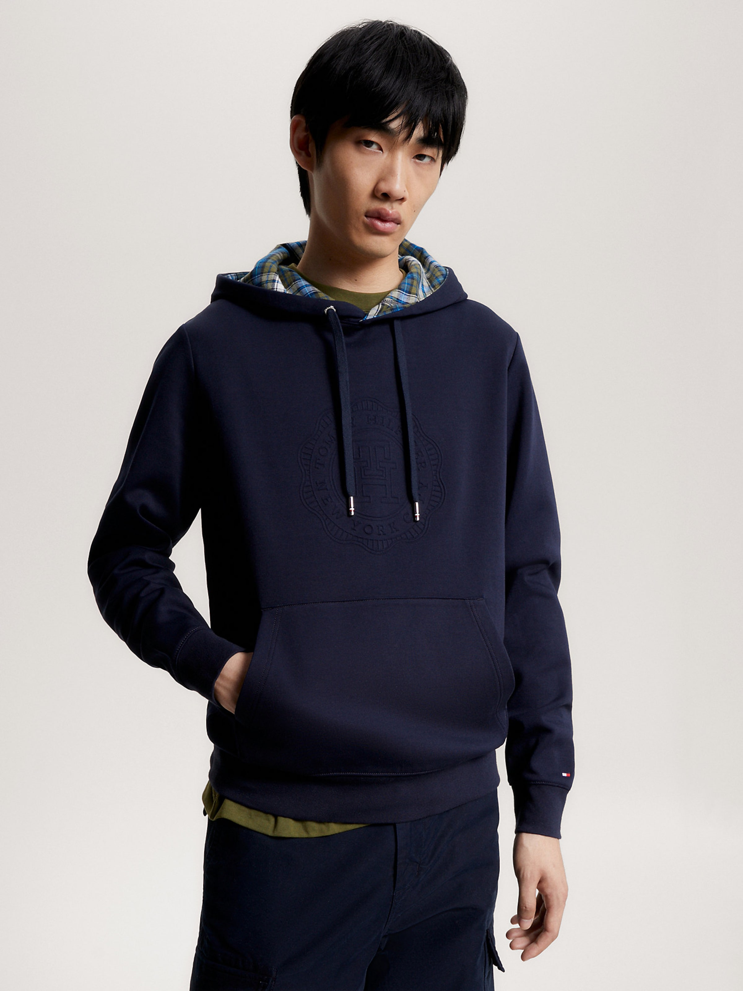 Tommy hilfiger 2024 blue hoodie mens