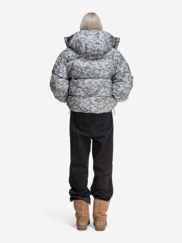 ENRAGE - Chaqueta de invierno 'PUFFY JACKET' en gris