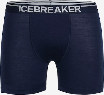 ICEBREAKER Спортивные трусы '150 Anatomica' в Синий: спереди