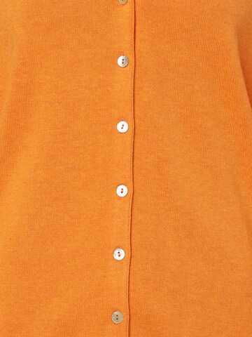 Brookshire Gebreid vest in Oranje