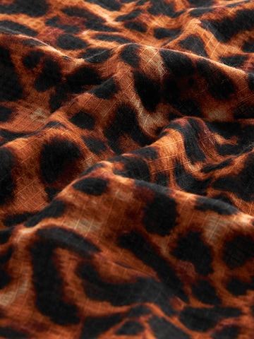 Next Scarf in Brown