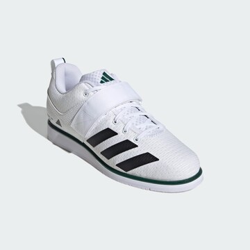 Chaussure de sport 'Powerlift 5' ADIDAS PERFORMANCE en blanc