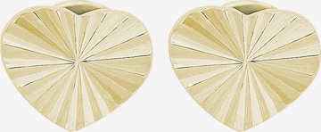 Akzent Earrings 'Kosul, hautverträglich' in Gold: front