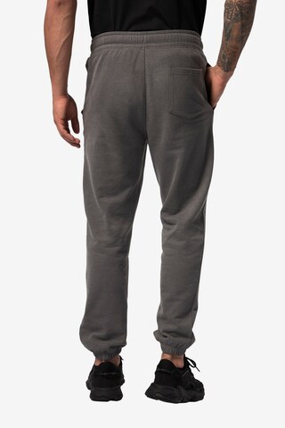 Effilé Pantalon de sport JAY-PI en gris