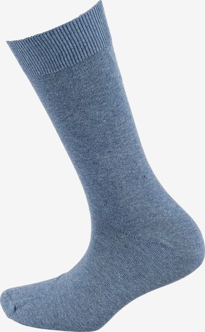 camano Socks in Blue