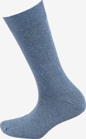 camano Socken in Blau