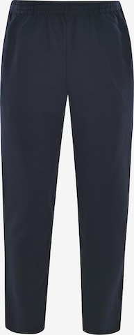 HAJO Tapered Pants in Blue: front