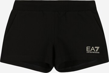 EA7 Emporio Armani Regular Pants in Black: front