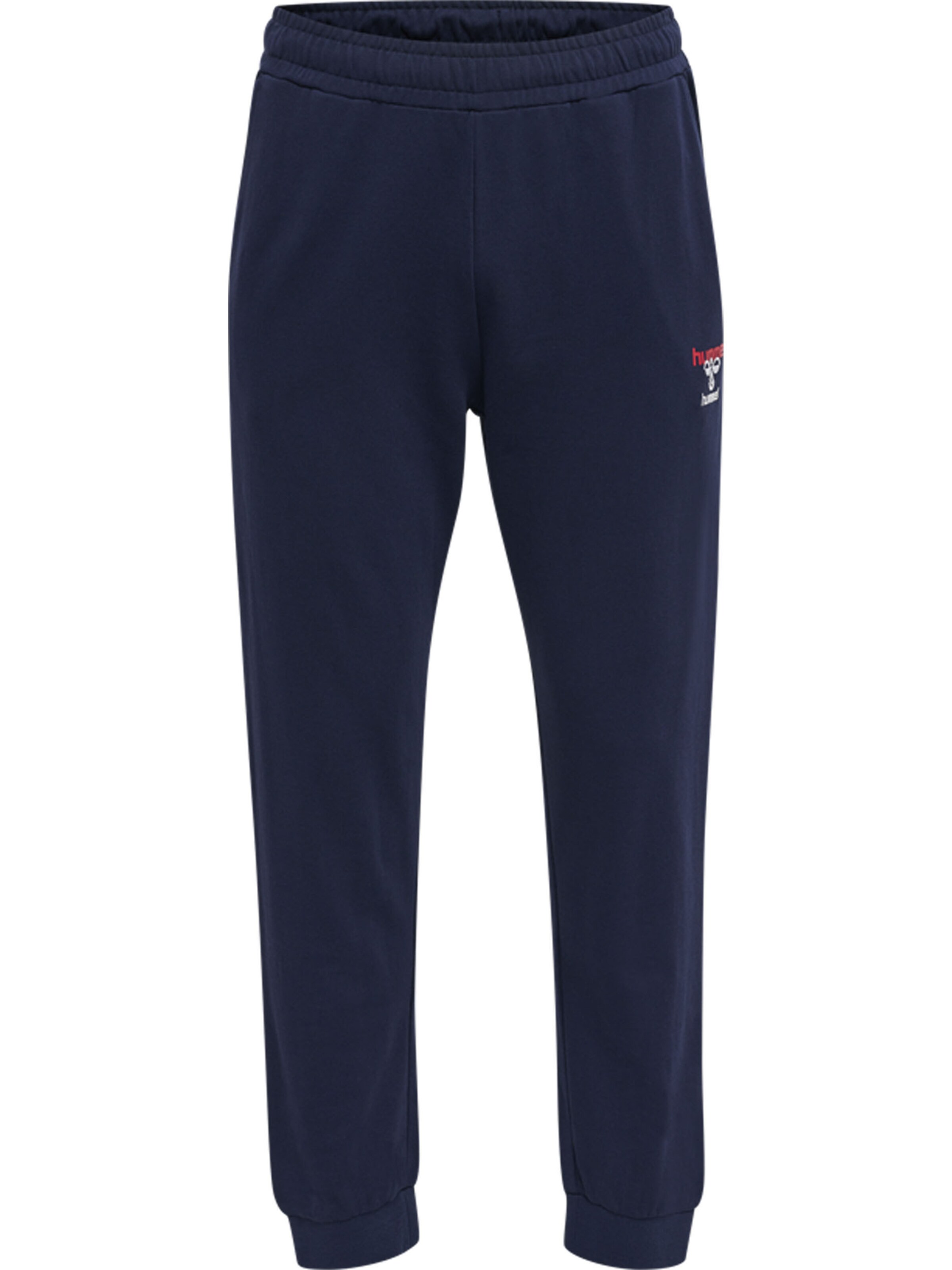 Hummel Regular Sports trousers 'Dayton' in Blue: front