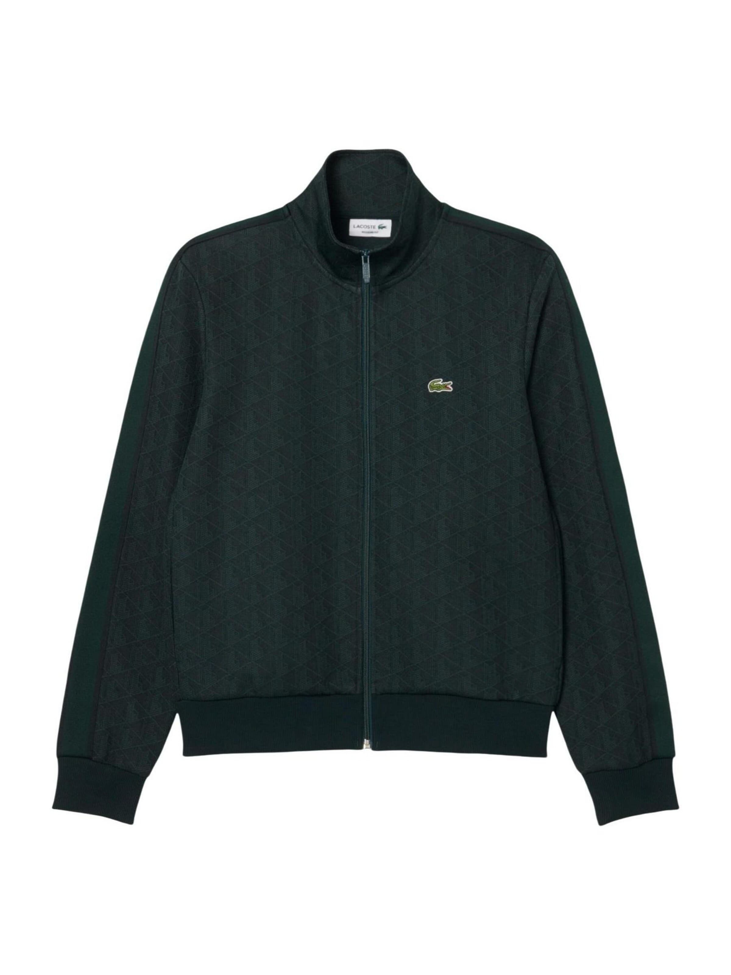 LACOSTE Sweater 'SH1368' in Green: front