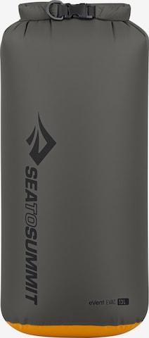 SEA TO SUMMIT Sports Bag 'Evac' in Grey: front
