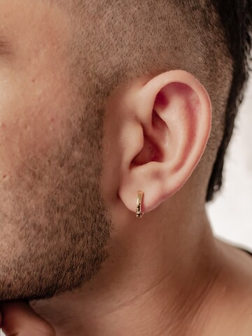 Hey Happiness Oorbel 'Small Band' in Goud