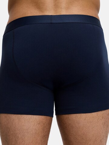 cfab (formerly creamy fabrics) Boxershorts 'Boxershorts'‌‌‌‌‌‌‌‌‌‌ in Blau