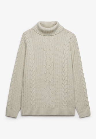 Superdry & Co Pullover 'Jacob' in Beige