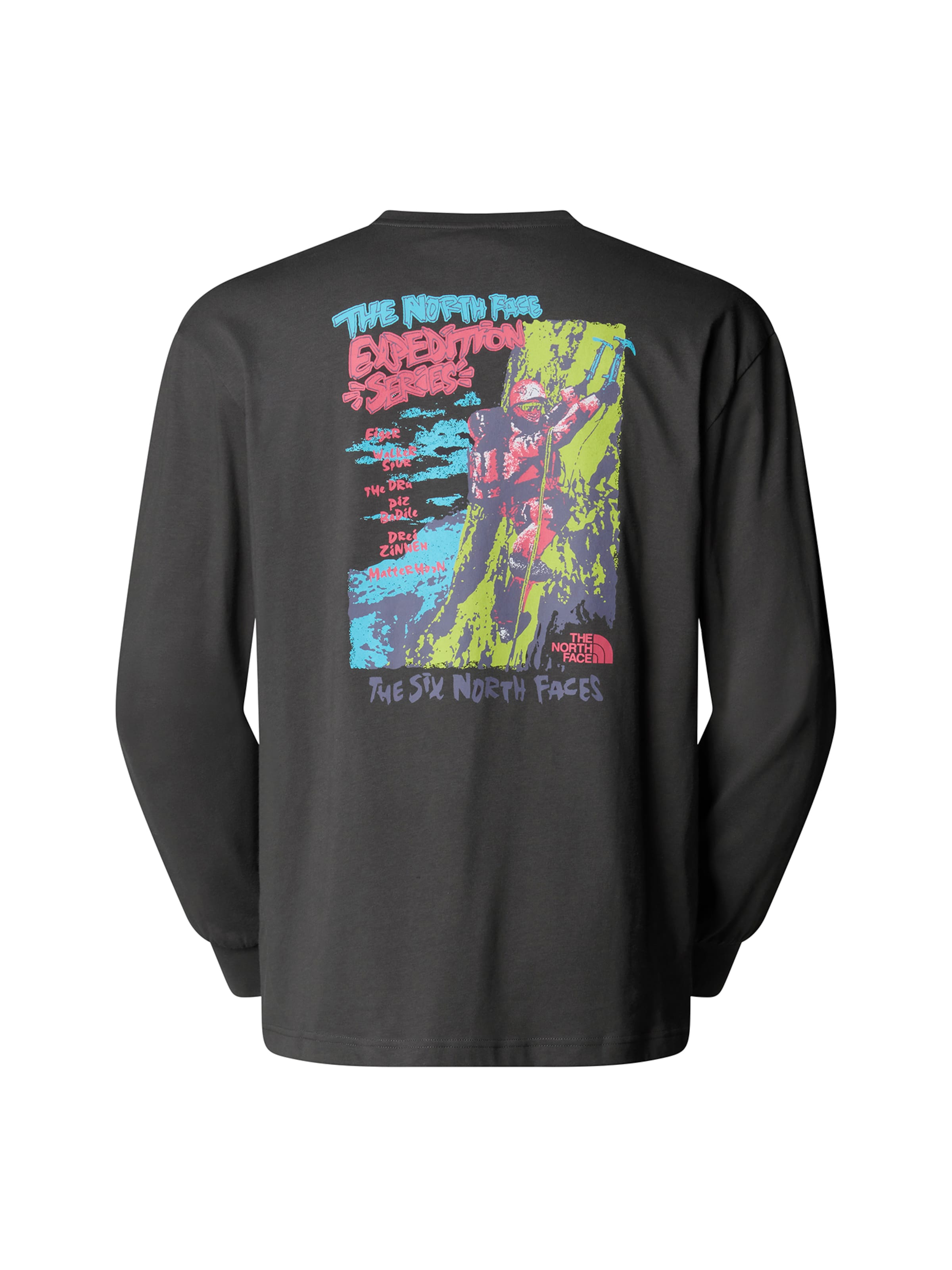 THE NORTH FACE Shirt 'Expedition Celebration' in Grau