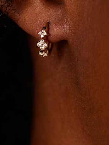 Boucles d'oreilles Lucardi en or : devant