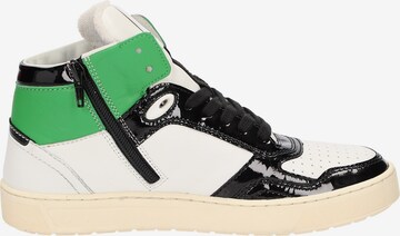 SIOUX Sneakers hoog 'Tedroso-DA-701' in Gemengde kleuren