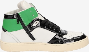 SIOUX High-Top Sneakers 'Tedroso-DA-701' in Mixed colors